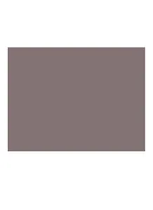 Бумага для пастели 50*65 "Mi-Teintes" 160г/м2 №503 винный, Canson