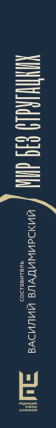 Книга Мир без Стругацких (Владимир Березин, Алексей Сальников, Сергей Кузнецов, Эдуард Веркин, Дарья Бобылева, Тимур Максютов, Ника Батхен, Елена Клещенко, Ася Михеева, Николай Караев, К.А.Терина) — 3