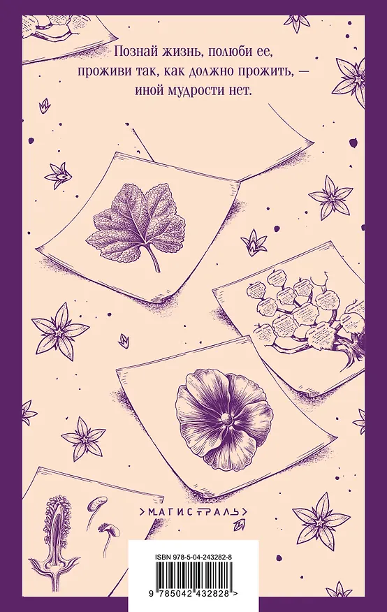 Книга Доктор Паскаль (Эмиль Золя) — 2