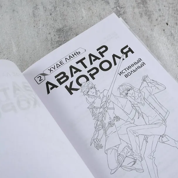 Книга Аватар короля. Истинный вольный. Книга 2 (Худе Лань) — 9