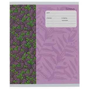 Тетрадь в линейку Unnika, "Фрукты и ягоды (графика)", 24 листа, в ассортименте 246544