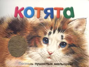 Погладь пушистых малышей! Котята — 2149119 — 1