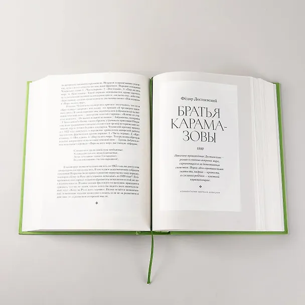 Книга [2 тома] Полка: О главных книгах русской литературы (Варвара Бабицкая, Михаил Велижев, Виктория Гендлина) — 6