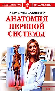 Анатомия нервной системы