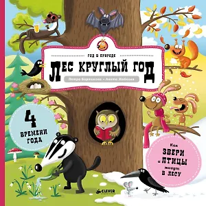Лес круглый год