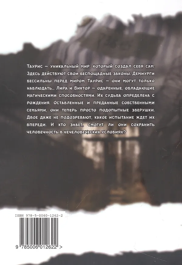 Книга Шесть цифр. Миры Тауис (Владарг Дельсат) — 2