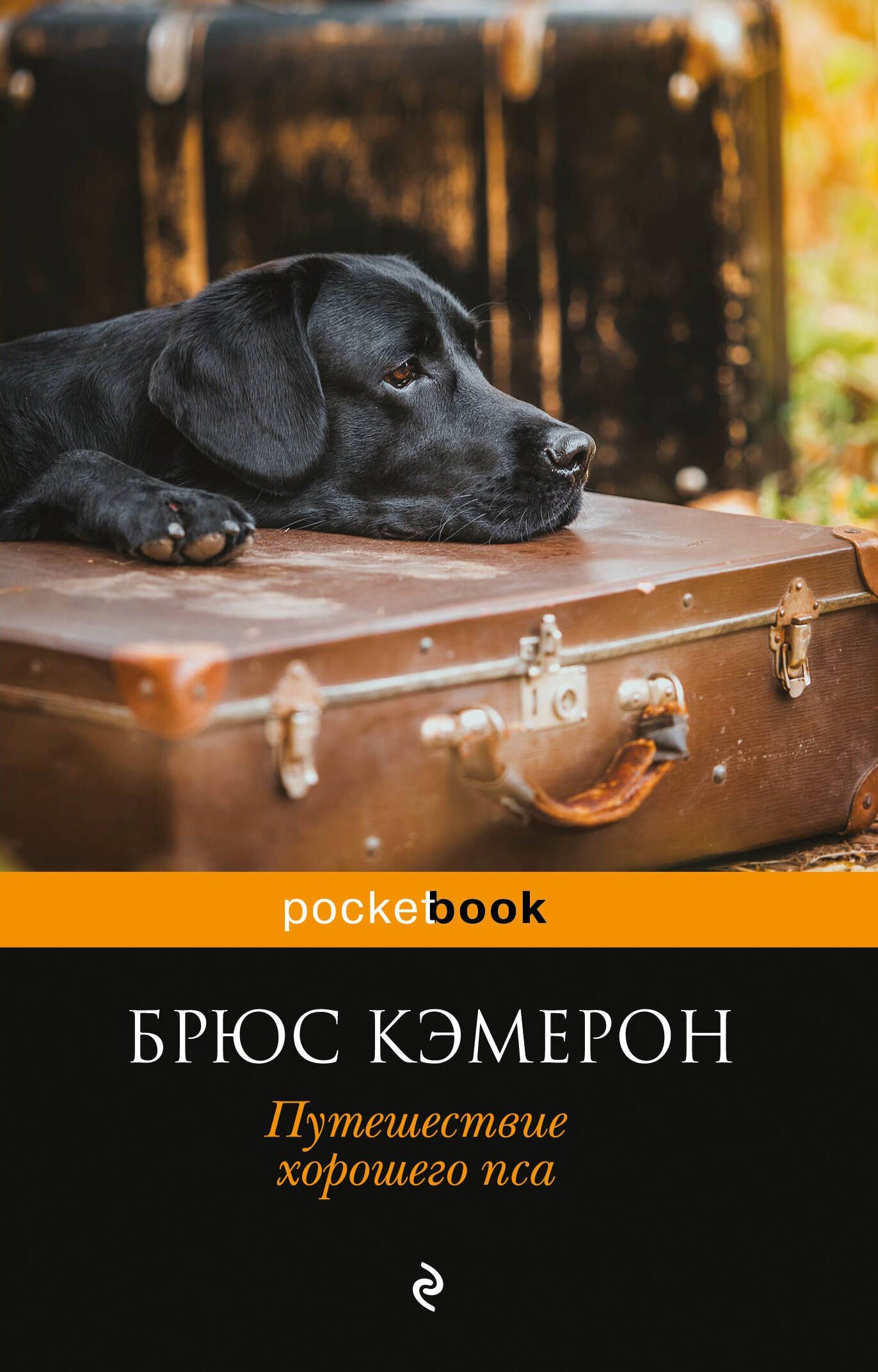 

Путешествие хорошего пса