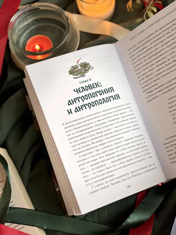 Книга Славянское язычество. От Перуна и Велеса до культа медведя и куриного бога (Анна Карасева) — 13
