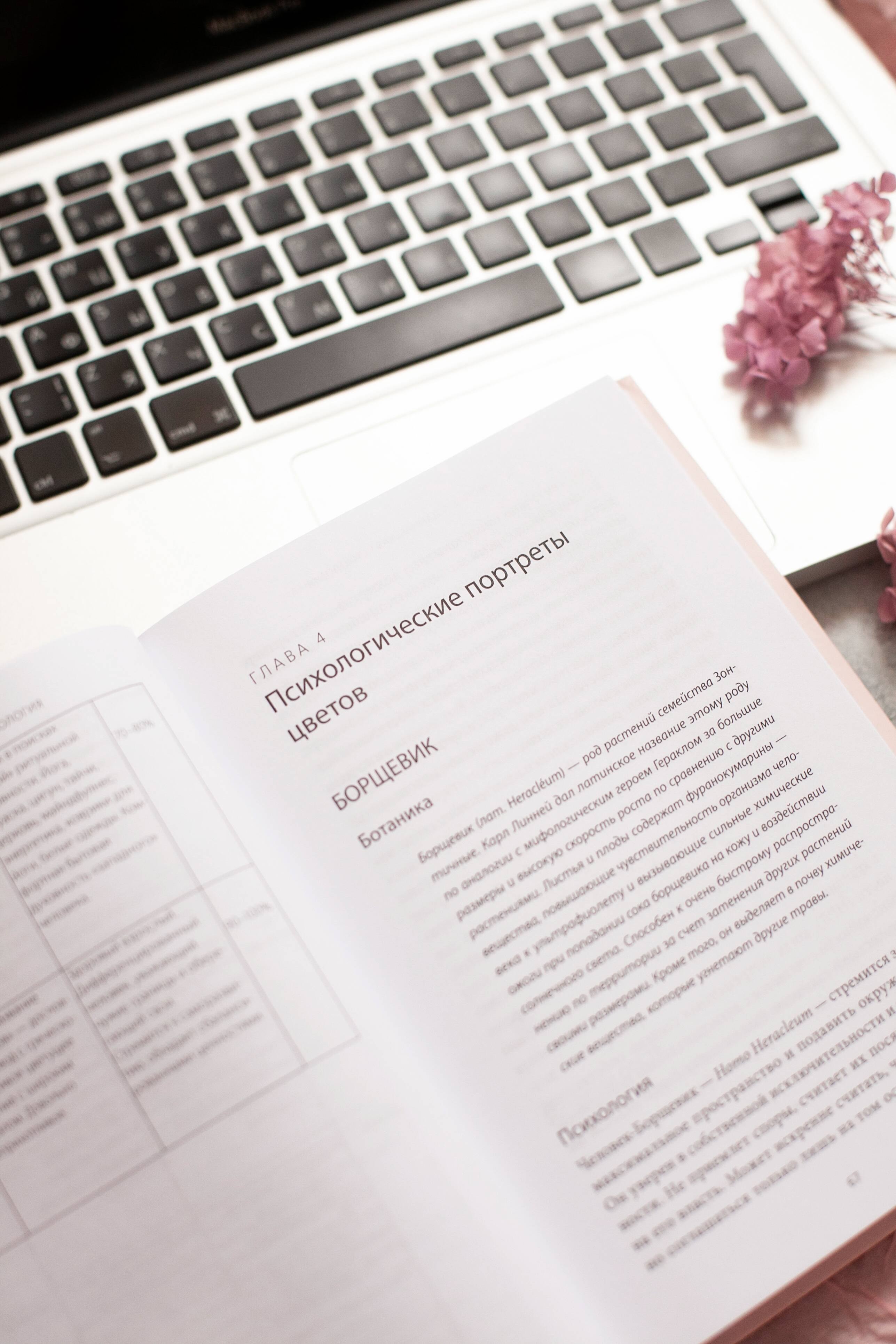 Изображение бумажной книги