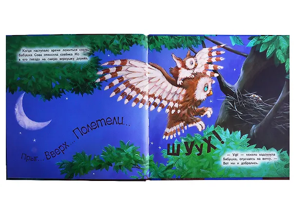Книга Не хочу я спать! (Джейн Чапмен) — 2
