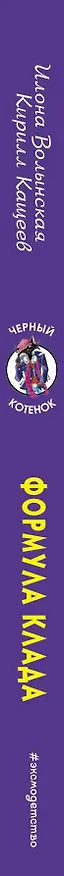 Книга Формула клада (Илона Волынская) — 3