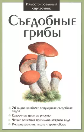 Съедобные грибы — 2416346 — 1