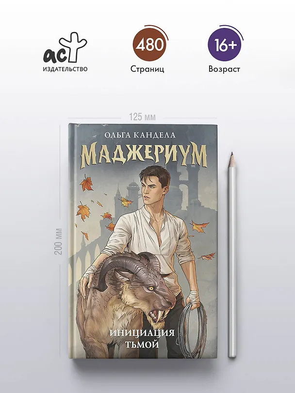 Книга Маджериум. Инициация тьмой (Ольга Кандела) — 5