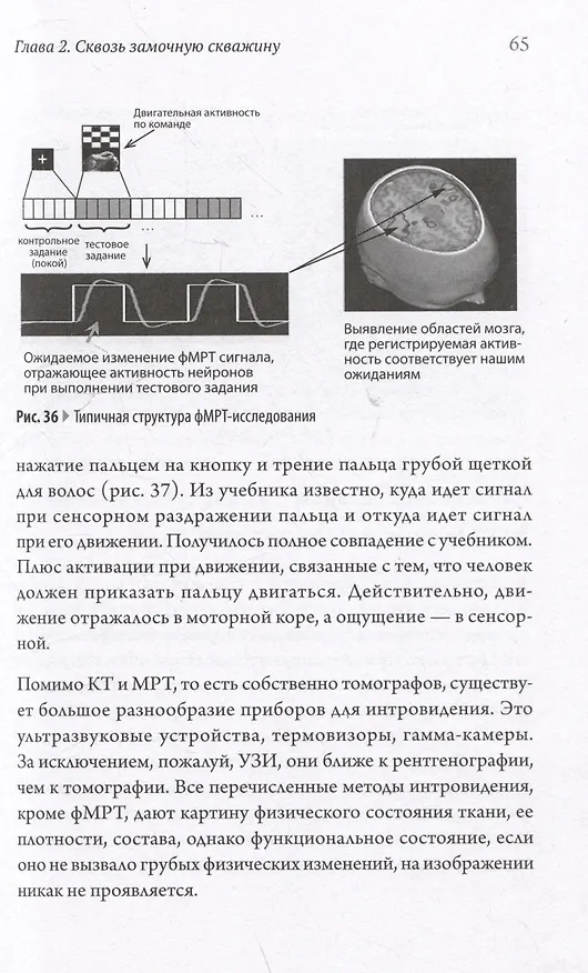 Книга Мозг против мозга. Mind vs brain (Святослав Медведев) — 15