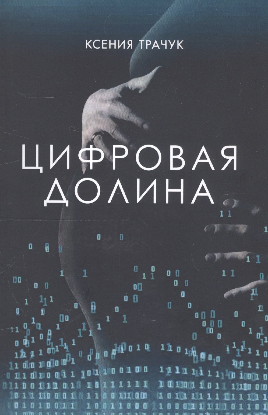 

Цифровая долина