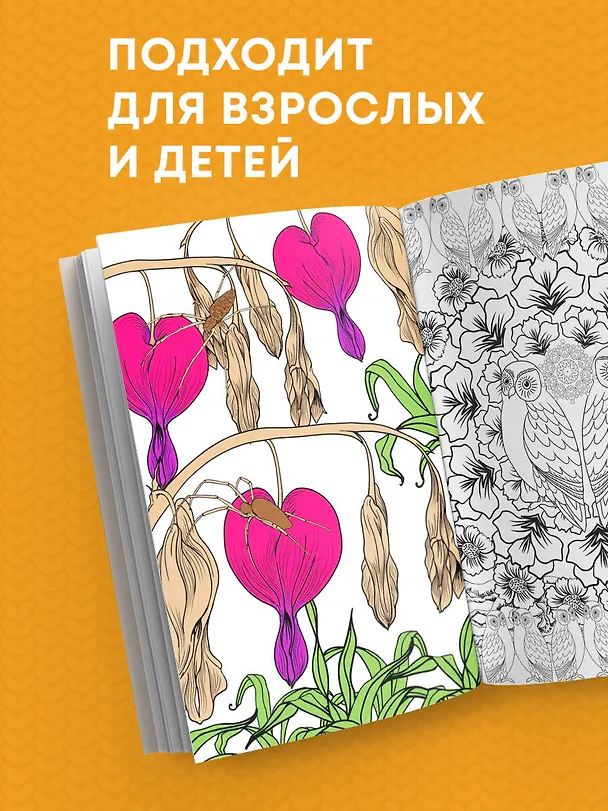 Книга Загадочный лес.Мини-раскраска-антистресс для творчества и вдохновения () — 8
