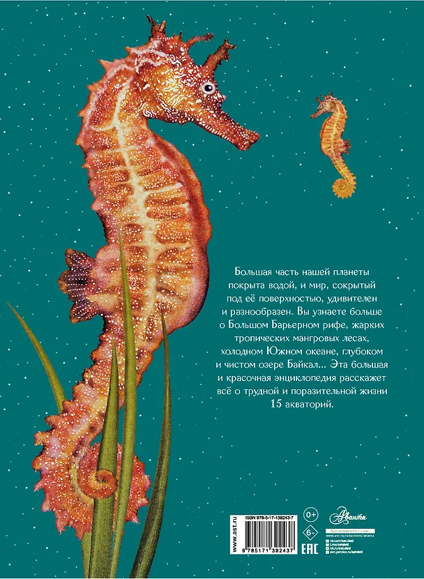 Книга Подводный мир: Исследуй 15 различных акваторий Земли (Александр Кауфман) — 2