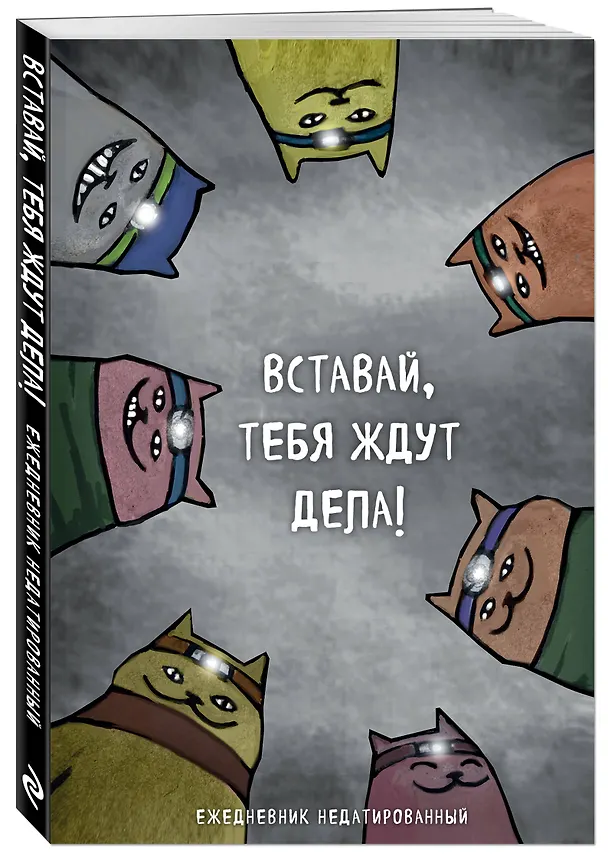Ежедневник недатированный «Коты-туристы. Вставай, тебя ждут дела», 144 листа, Эксмо 2946556 — 2