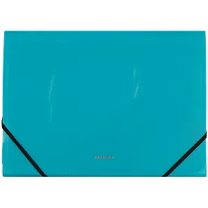 Папка на резинках «Vivid colors», 12 отделений, А4