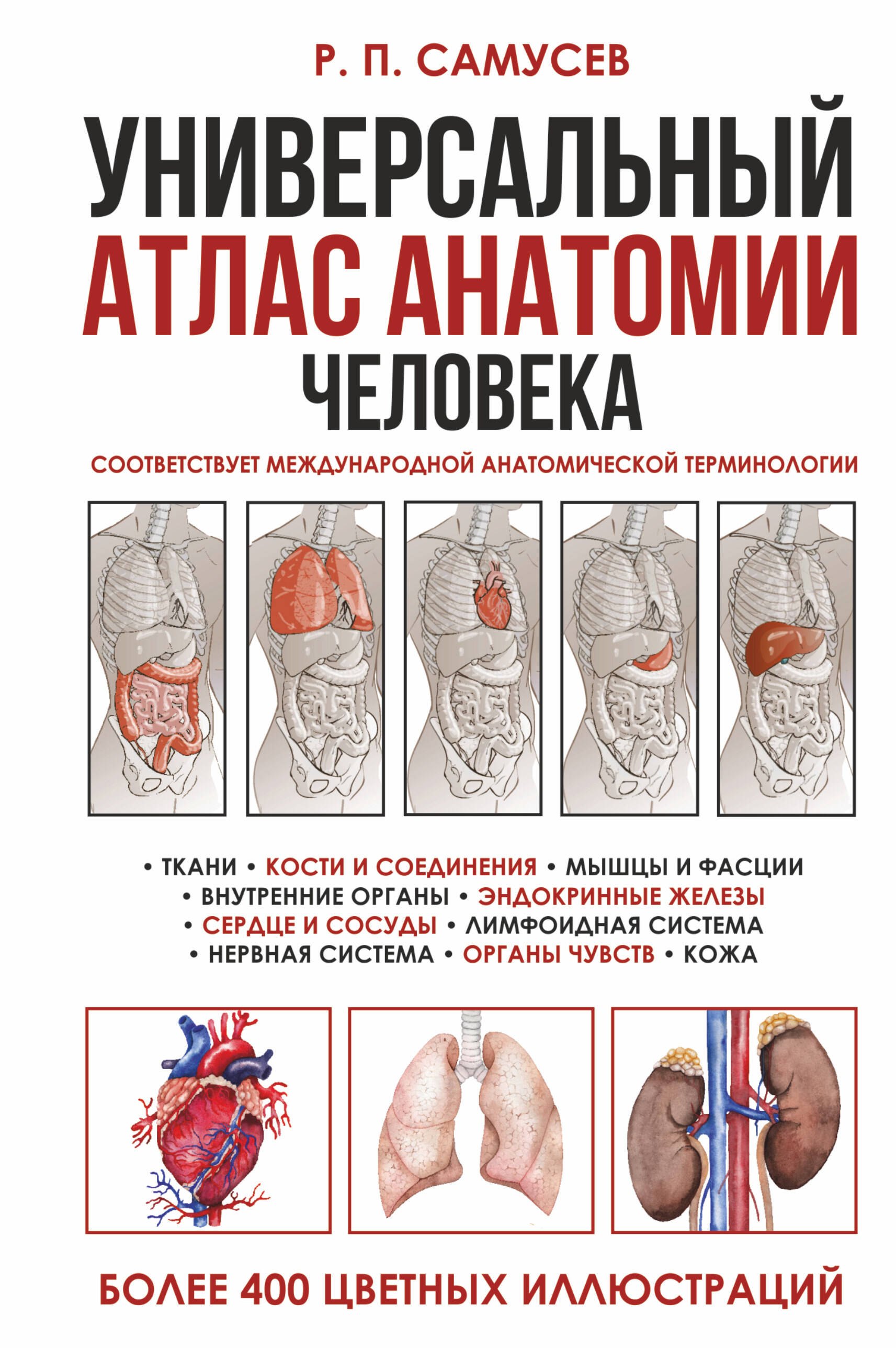 

Универсальный атлас анатомии человека. Учебное пособие для студентов медицинских учебных заведений