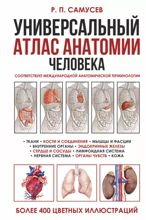 Универсальный атлас анатомии человека. Учебное пособие для студентов медицинских учебных заведений — 2987407 — 1