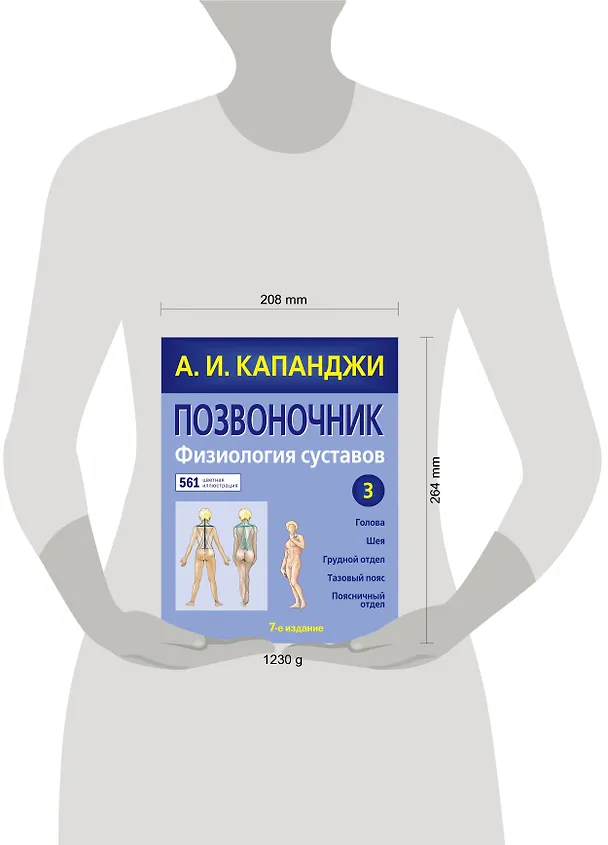 Книга Позвоночник: Физиология суставов (обновленное издание) (Адальберт Капанджи) — 5
