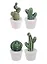 Фигурка Кактус 10*6см (керамика) в ассортименте 12-8069-86380 — 2591380 — 3