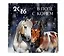 В поле с конем. Календарь настенный на 2026 год (300х300) — 3120707 — 2