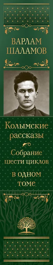 Книга Колымские рассказы. Собрание шести циклов в одном томе (Варлам Шаламов) — 5