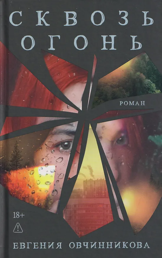 Книга Сквозь огонь (Евгения Овчинникова) — 1