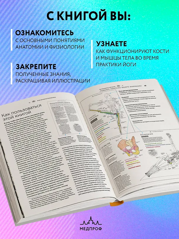 Книга Анатомия йоги: атлас-раскраска. Визуальный гид по телу — от структуры к осознанной практике (Келли Солоуэй) — 7