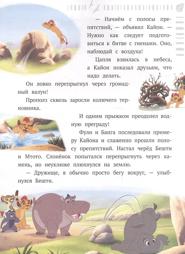 Книга Мы - одна команда. Лев Хранитель () — 5