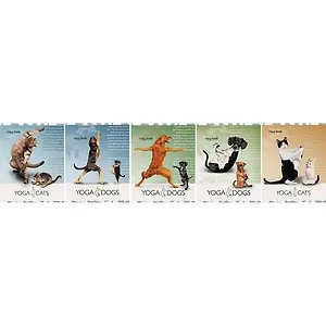 Тетрадь общая «Yoga Dogs/Cats», 60 листов в клетку, А5 - Полиграф Принт