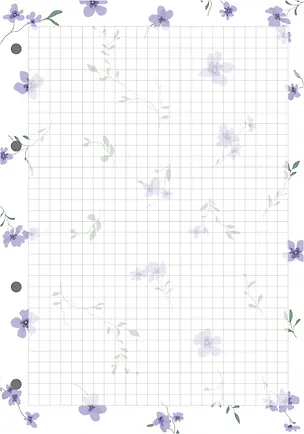 Сменный блок для тетрадей 50л кл. "Posy" 70г/м2, инд.уп. 3151072