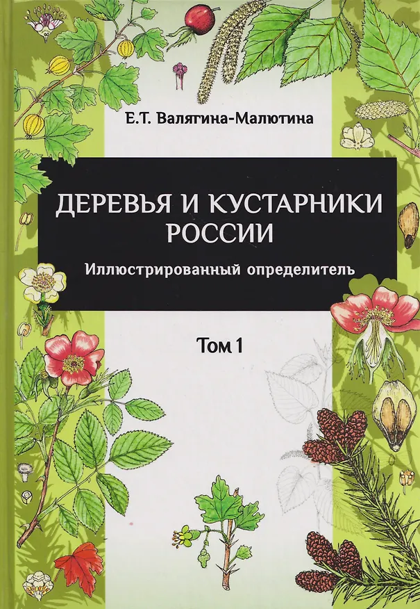 Книга Деревья и кустарники России: Иллюстрированный определитель. В двух томах (Евгения Валягина-Малютина) — 3