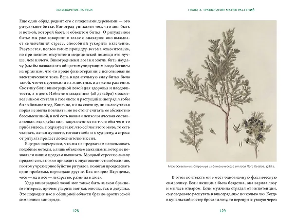Книга Зельеварение на Руси. От ведьм и заговоров до оберегов и Лукоморья (Александра Баркова) — 15