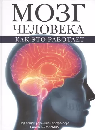 Мозг человека. Как это работает — 2525671 — 1