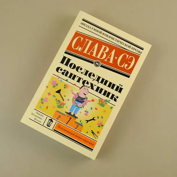 Книга Последний сантехник (Слава Сэ) — 7