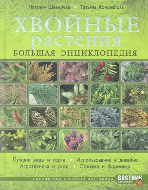 Хвойные растения. Большая энциклопедия — 2292263 — 1