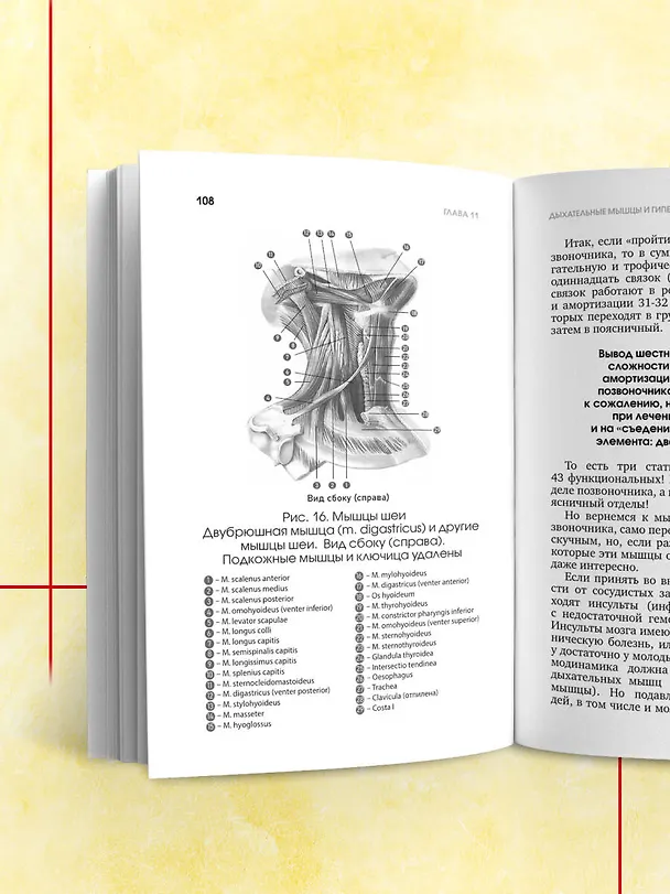 Книга Протрузия, грыжа, спондилоартроз - оперировать нельзя лечить (Сергей Бубновский) — 12