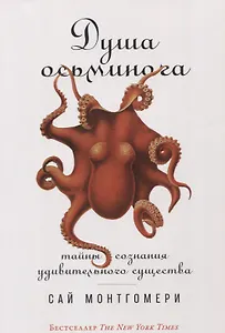Душа осьминога: Тайны сознания удивительного существа