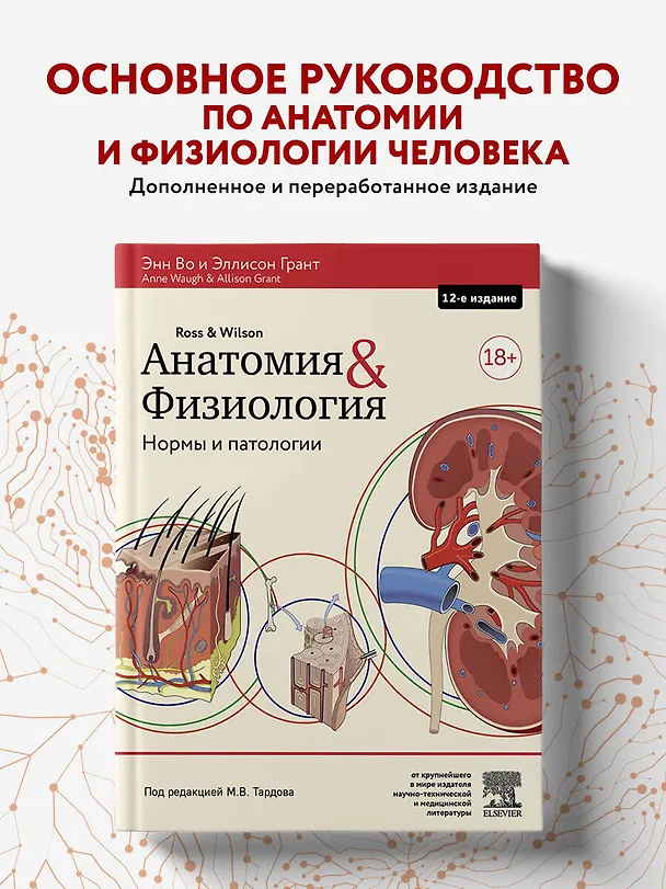 Книга Анатомия и физиология. Нормы и патологии (Энн Во) — 5