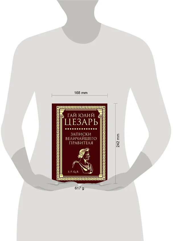 Книга Записки величайшего правителя (Гай Юлий Цезарь) — 4