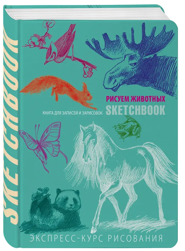 Книга SketchBook: Визуальный экспресс-курс по рисованию Животные (мята) (Эксмо) (Залина Сабанова) — 4