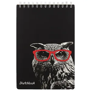 Скетчбук «Сова в очках», А5+, 100 листов