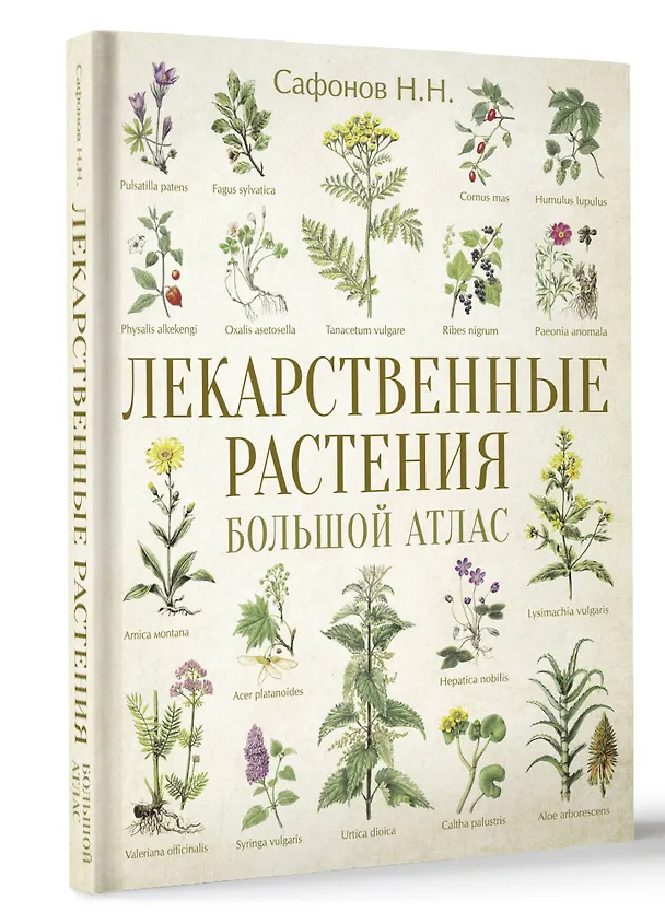 Книга Лекарственные растения. Большой атлас (Николай Сафонов) — 4