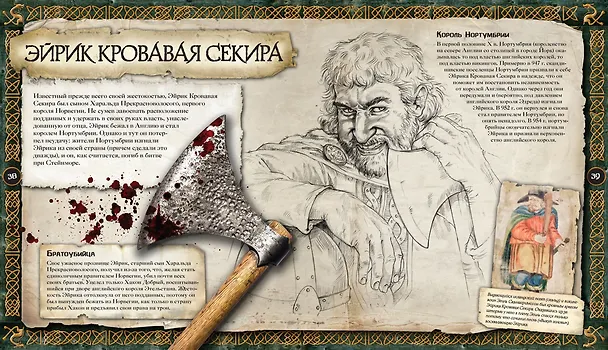 Книга Викинги. Эра воинов и мореплавателей (Роберт Маклеод) — 3