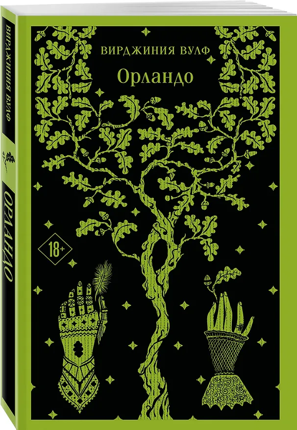 Книга Орландо (Вирджиния Вулф) — 5