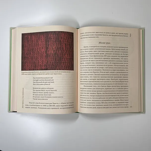 Книга Голое Средневековье. Жизнь, смерть и искусство в Средние века (Джек Хартнелл) — 11
