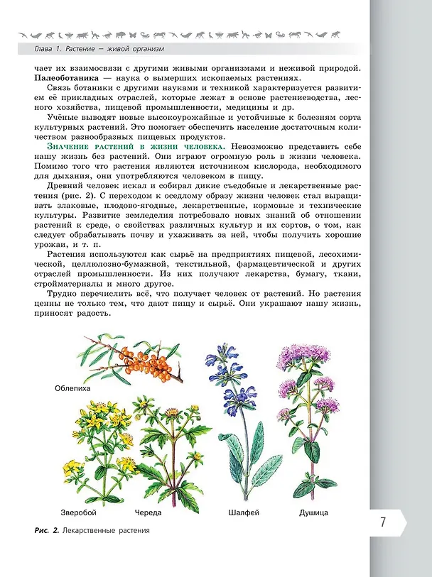 Книга Биология. 6 класс. Учебник. Базовый уровень (Глеб Швецов, Владимир Пасечник, Сергей Суматохин) — 5